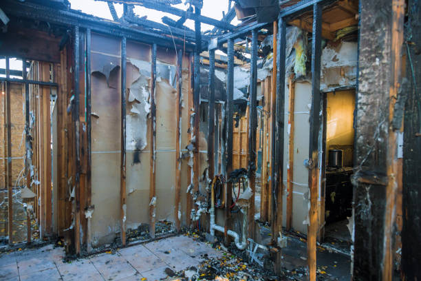 Professional Emergency Fire Cleanup technician working in Vienna, VA